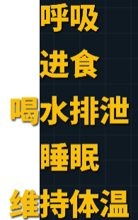 assets/1641482941459186_Copy_184.png