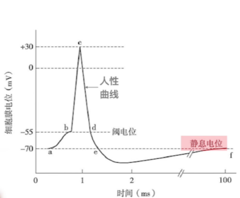 assets/164119684661537_Copy_35.png