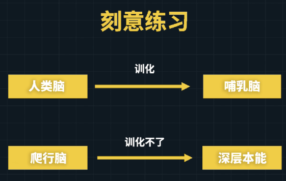 assets/164120783695564_Copy_62.png