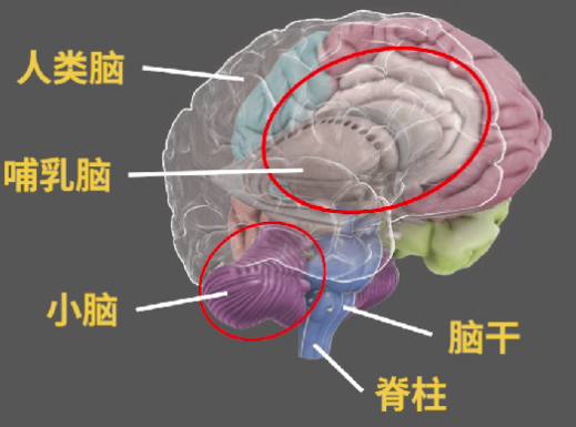 assets/164120736024362_Copy_60.png