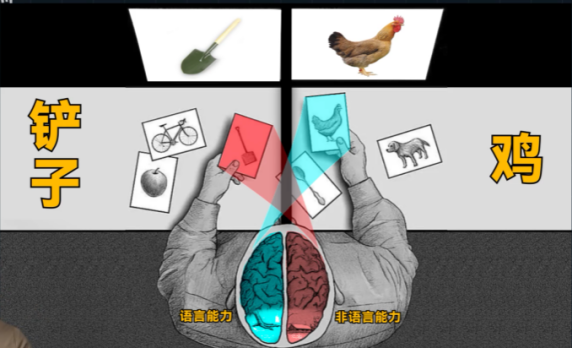 assets/164396148093959_Copy_59.png