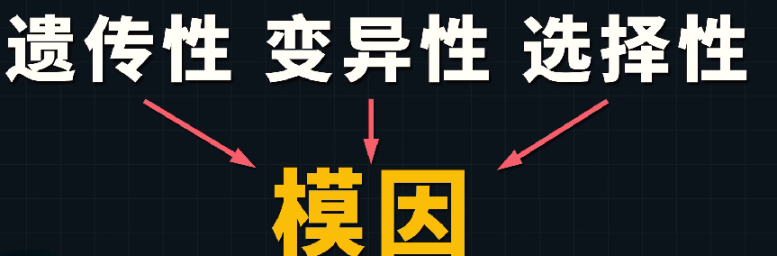 assets/1643184538372143_Copy_142.png