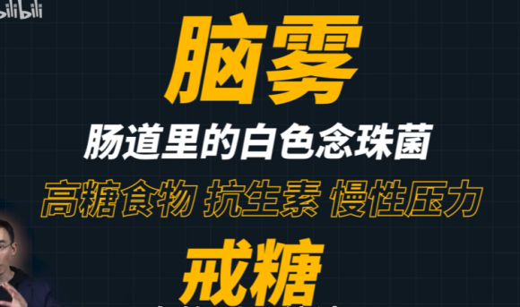 assets/16439563570427_Copy_7.png