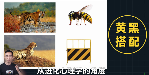 assets/1643514719220212_Copy_211.png