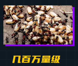 assets/164135283033984_Copy_82.png