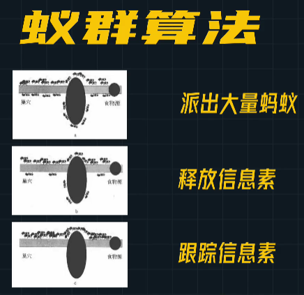 assets/164135297822688_Copy_86.png