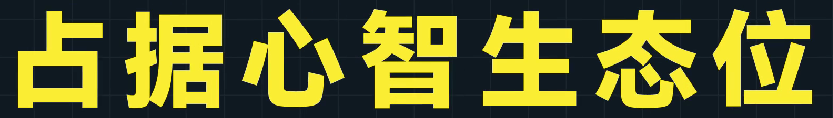 assets/1643511969335198_Copy_197.png