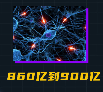 assets/164135281385383_Copy_81.png