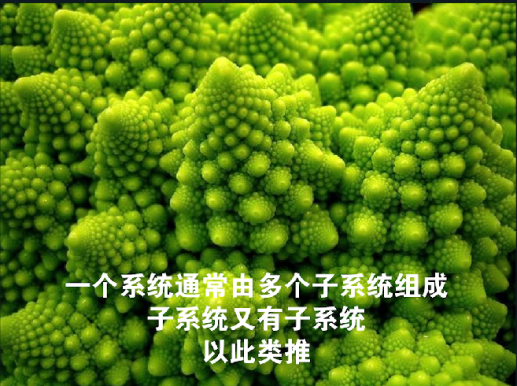 assets/164119503854013_Copy_13.png