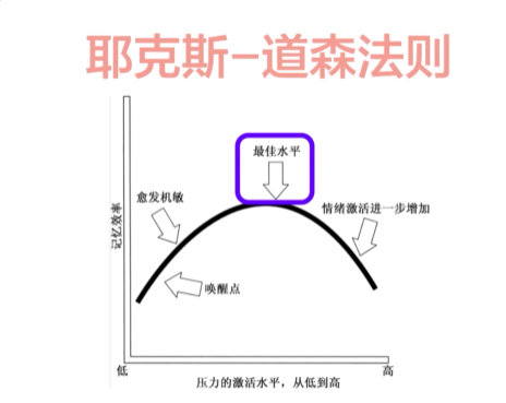 assets/1641382747282118_Copy_116.png